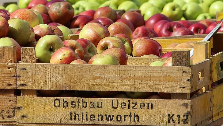 Crates of fresh apples prepared for export