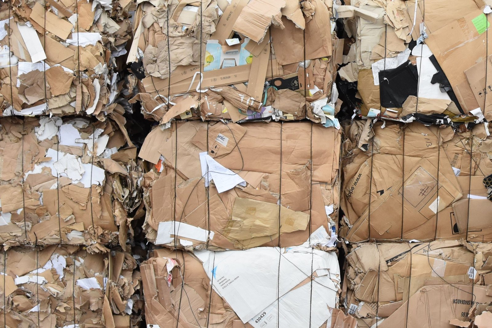 Recovered paper sorting facility